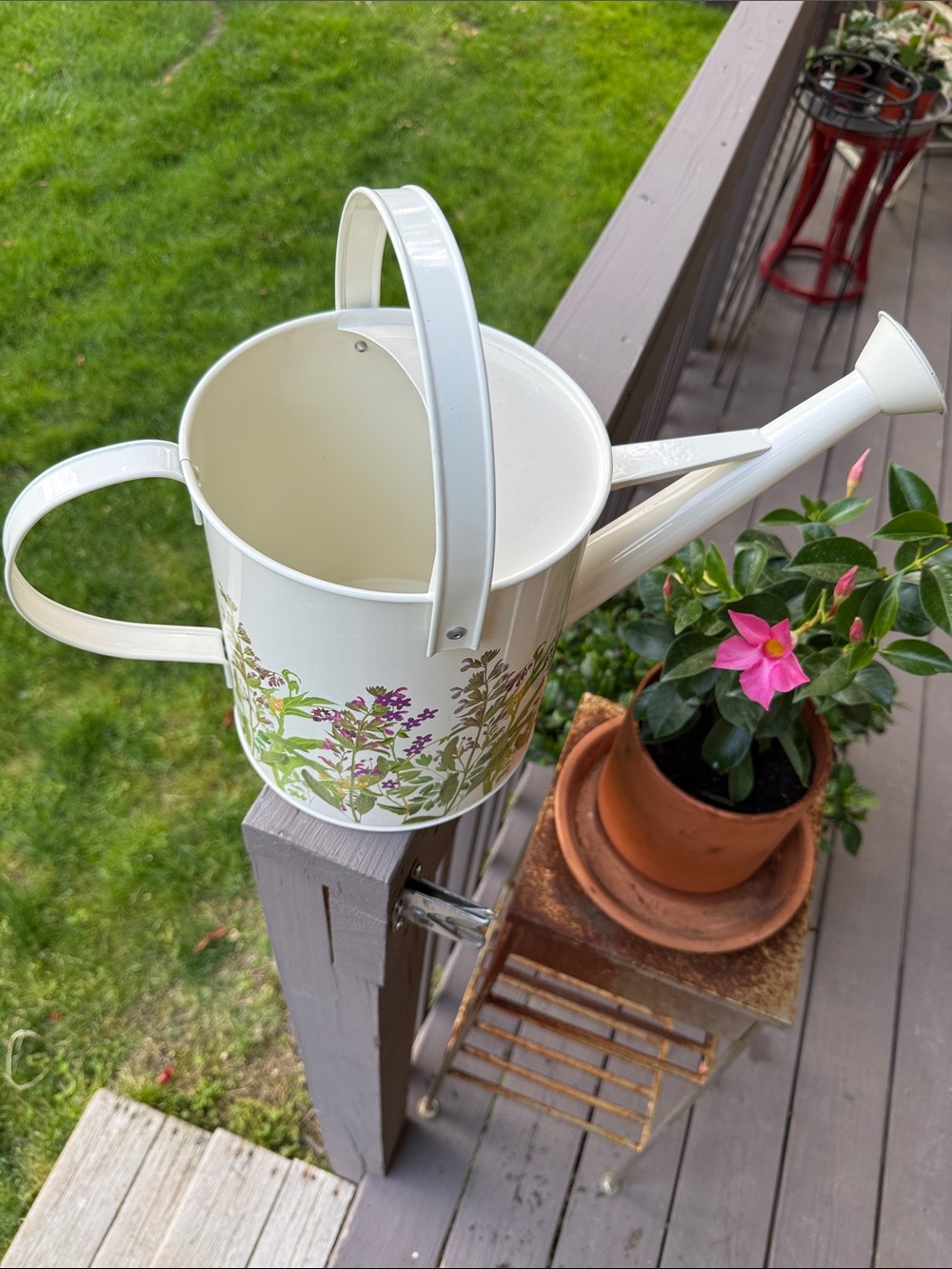 Royal Horticultural Society (RHS) floral watering can